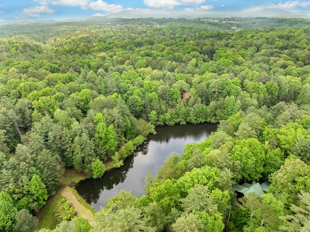 168 Spring Lake Drive