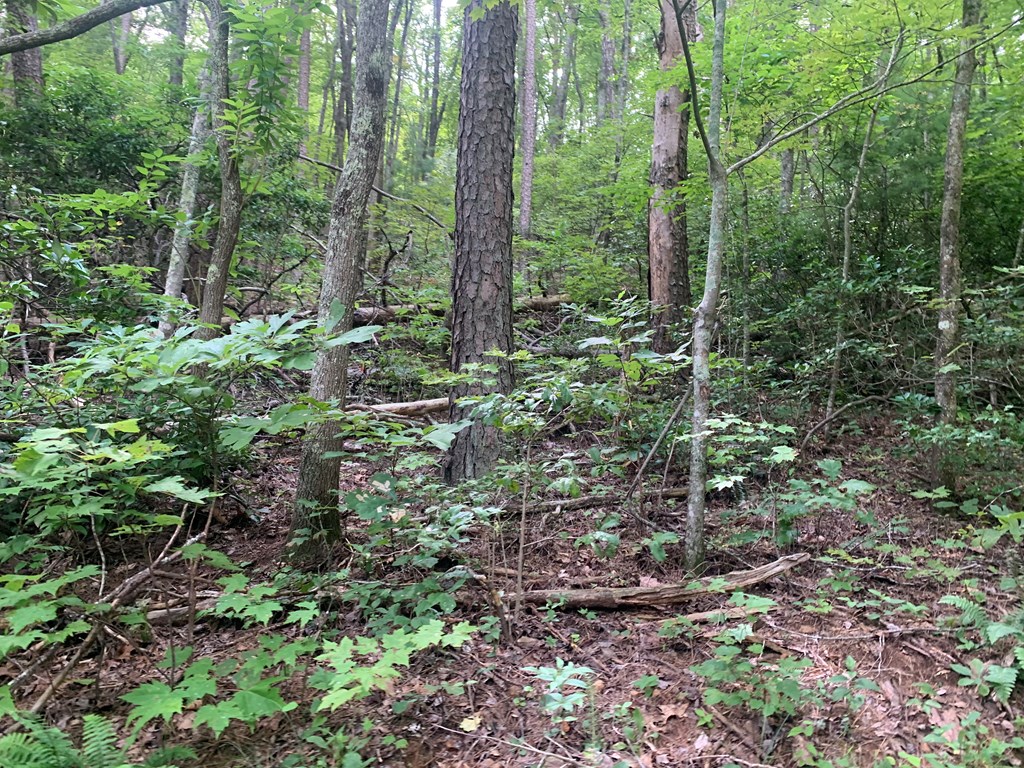 LOT #13 Hidden Valley Drive