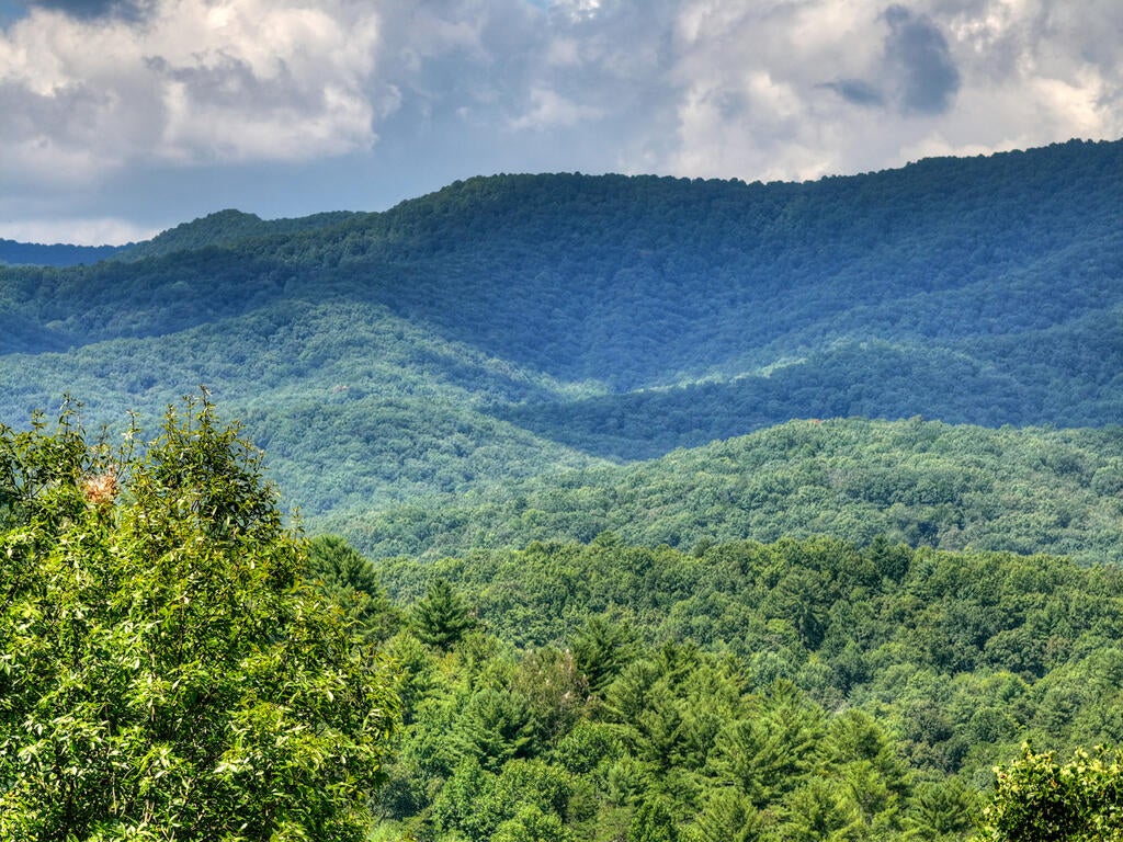 606 Cohutta Mountain Road