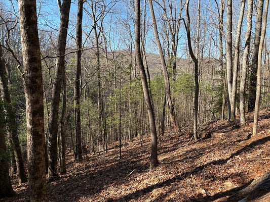 243 GOBBLERS KNOB, SUCHES, GA 30572 - Image d8cbffd9bcdc65d964b2e9d6841fa61e/2568329770