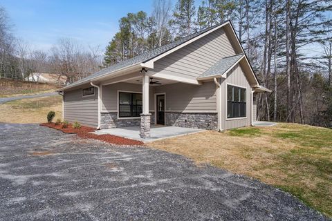 155 Ivy Knob Terrace Hayesville NC 28904