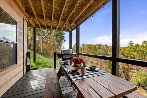 A home in Mineral Bluff