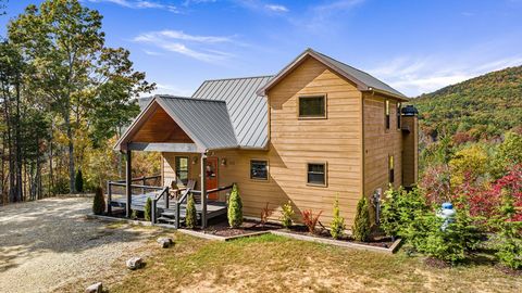 A home in Mineral Bluff