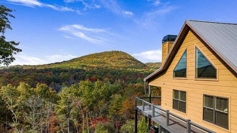 A home in Mineral Bluff