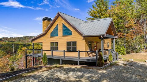 A home in Mineral Bluff