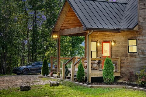 A home in Mineral Bluff