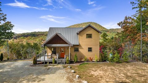 A home in Mineral Bluff