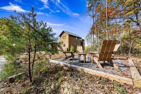 A home in Mineral Bluff