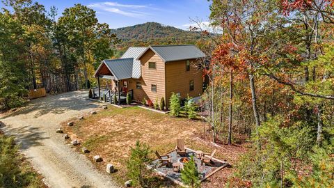 A home in Mineral Bluff