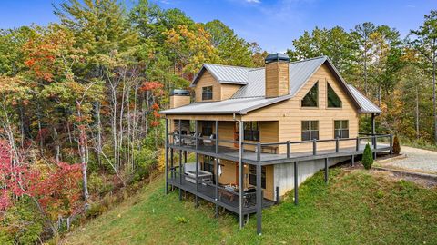 A home in Mineral Bluff