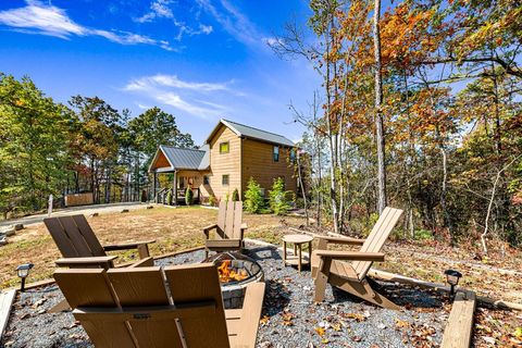 A home in Mineral Bluff