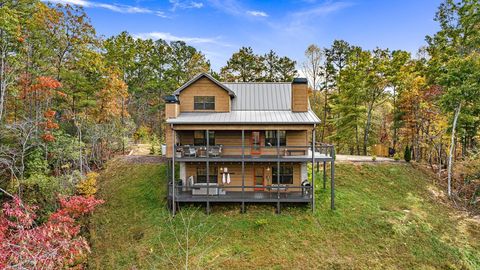 A home in Mineral Bluff