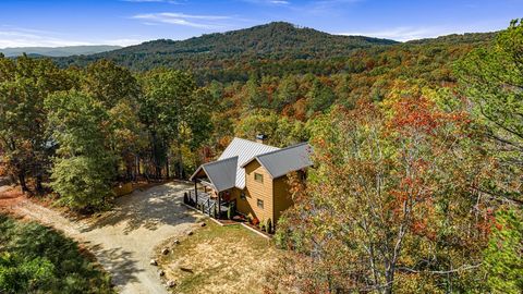 A home in Mineral Bluff