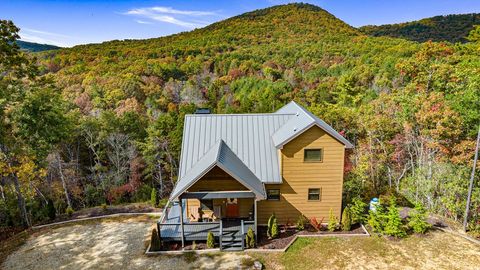 A home in Mineral Bluff