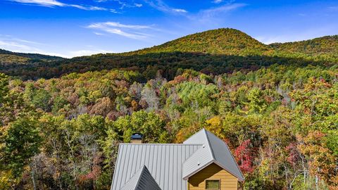 A home in Mineral Bluff