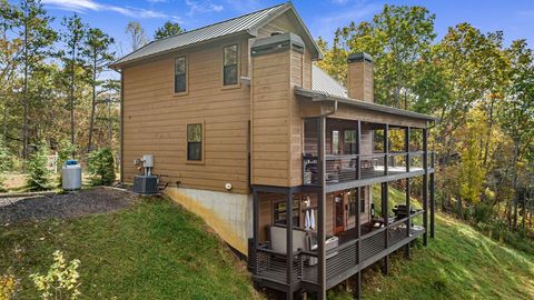 A home in Mineral Bluff