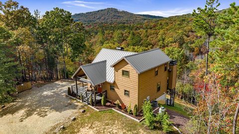 A home in Mineral Bluff