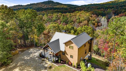 A home in Mineral Bluff