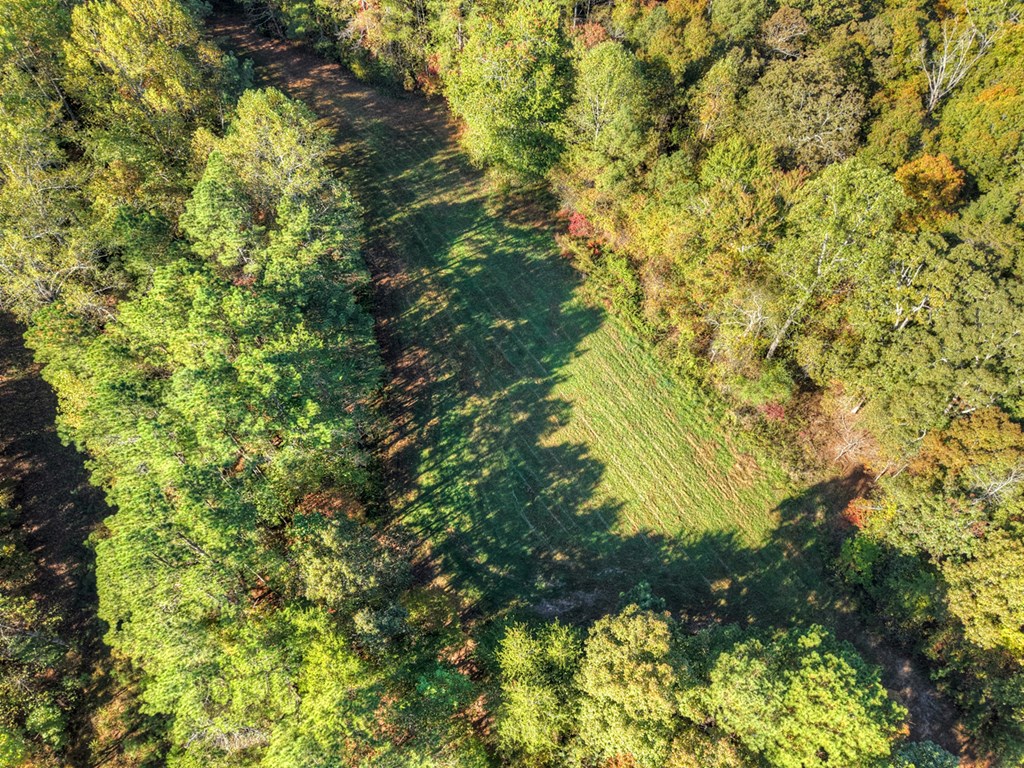 523 Long Branch Road