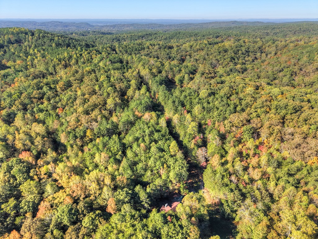 523 Long Branch Road