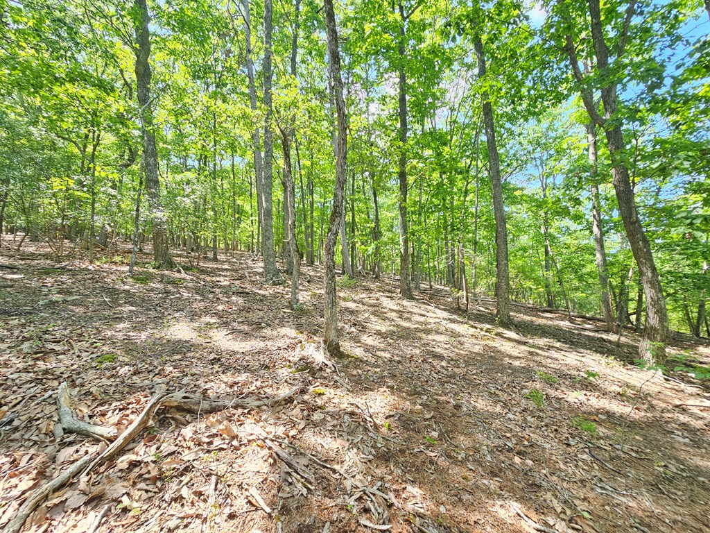 0 Turnbury Lane