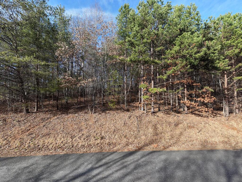 41 Hidden Fields Road