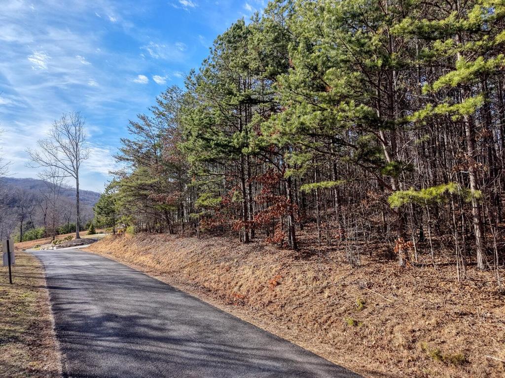 41 Hidden Fields Road