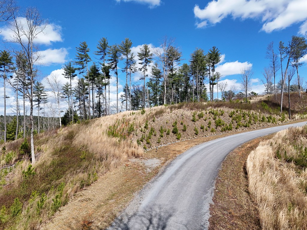 Lot 253 High River Crossing