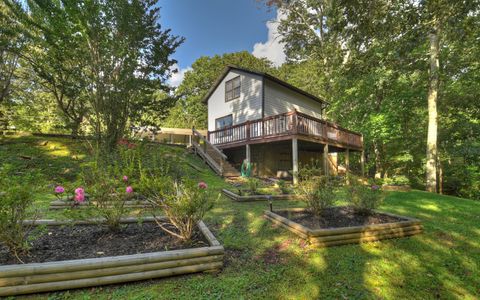 A home in Blue Ridge