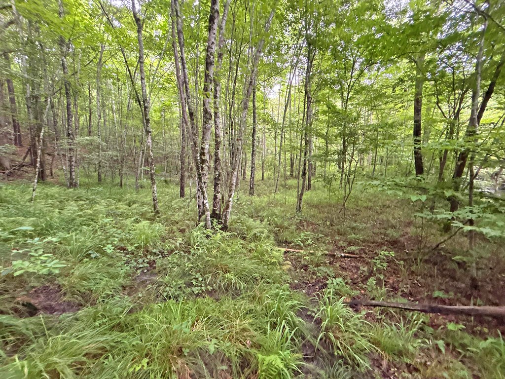 10AC Yonder Way
