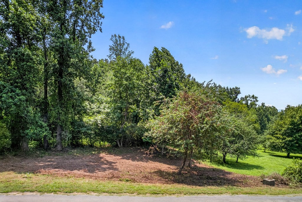 .93 ac. Bocon Lane