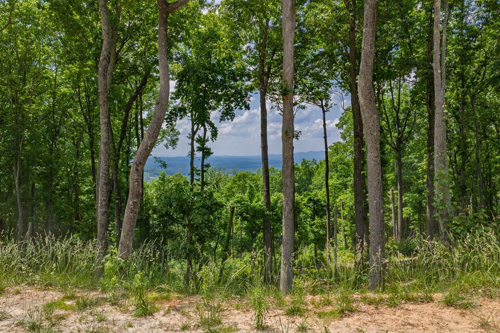 Lot 411 Calloway Mountain Road