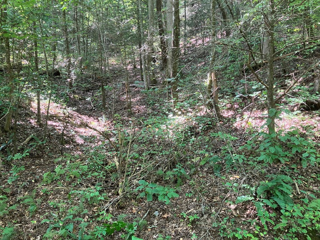 2001 Copper Creek Road