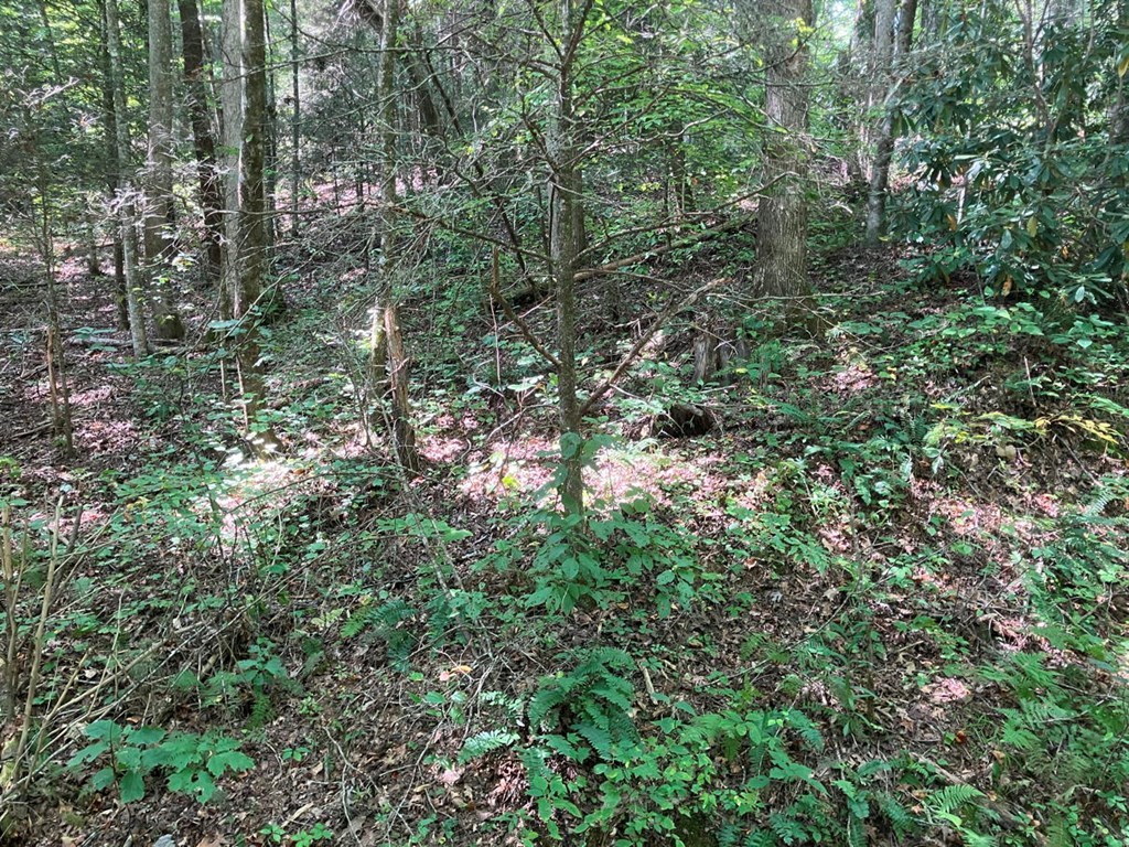 2001 Copper Creek Road