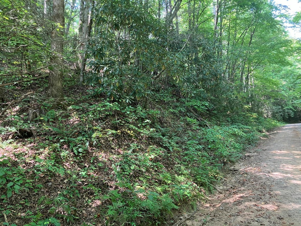 2001 Copper Creek Road