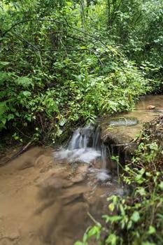 149 Happy Hollow Lane