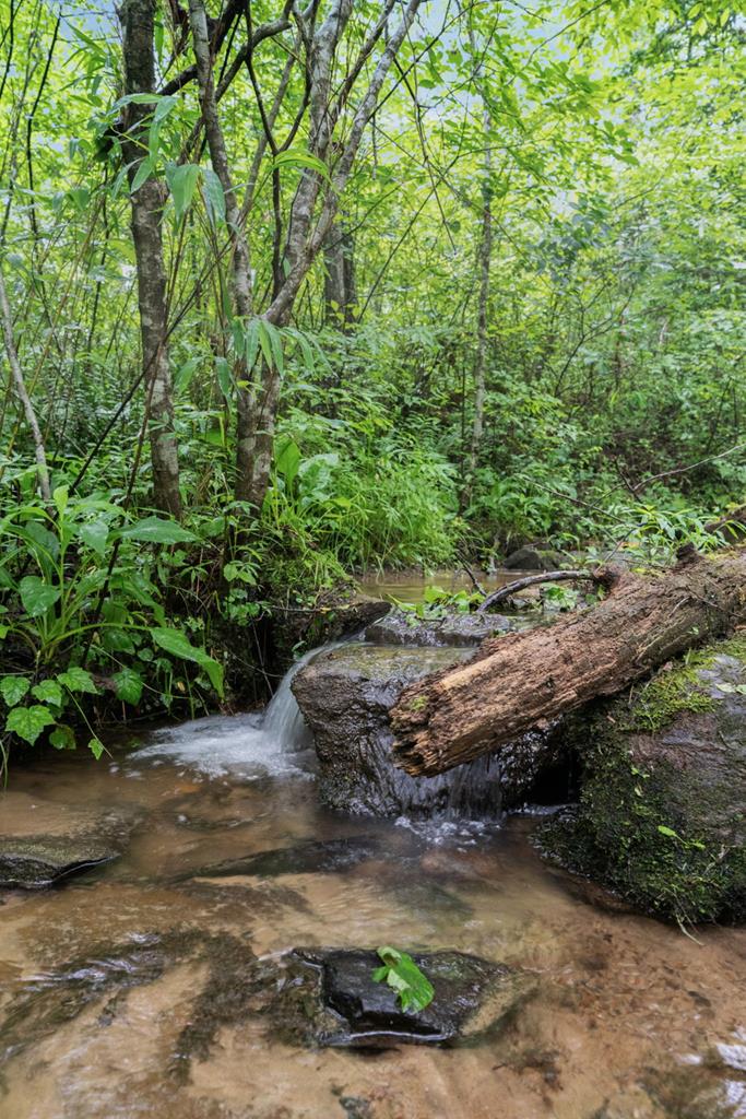 149 Happy Hollow Lane