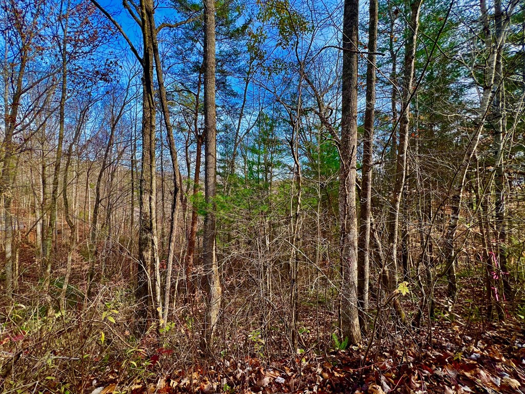 8 Firefly Ridge Road