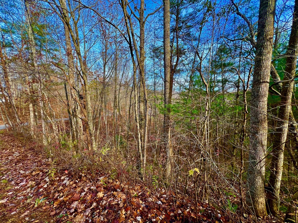 8 Firefly Ridge Road