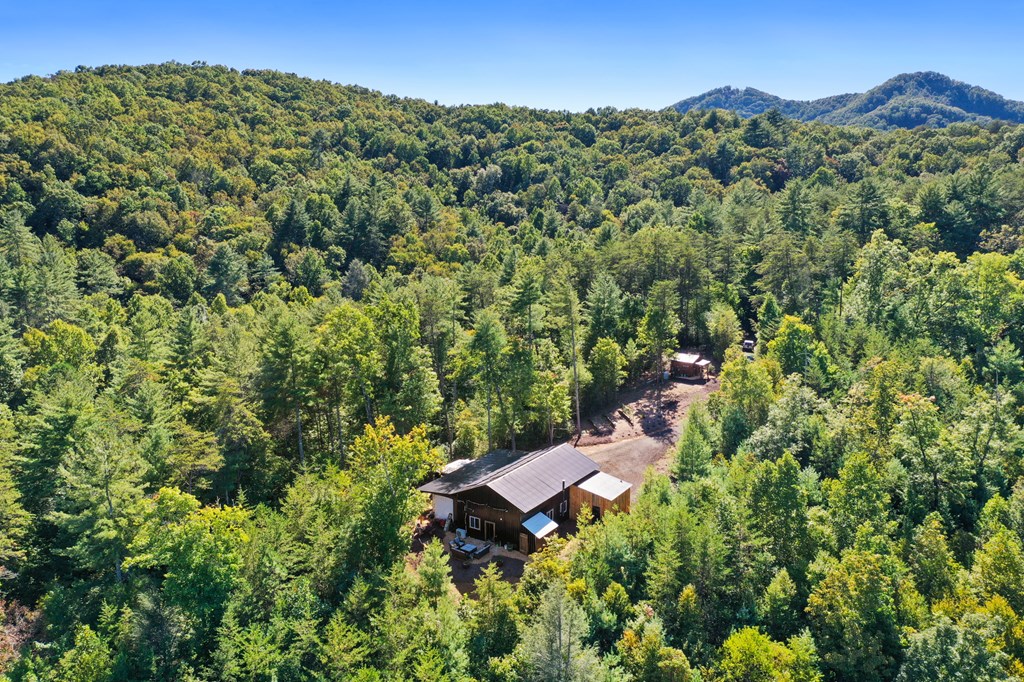 643 White Pine Road
