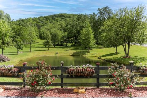 4167 Downings Creek Road Hayesville NC 28904