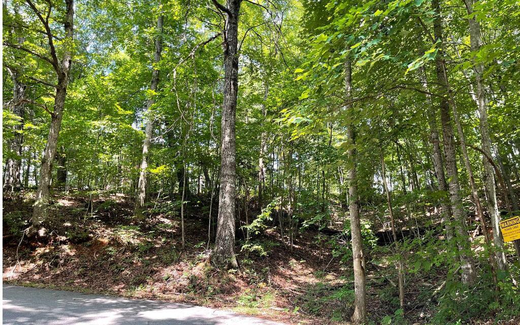 #7 Mountain Drive N