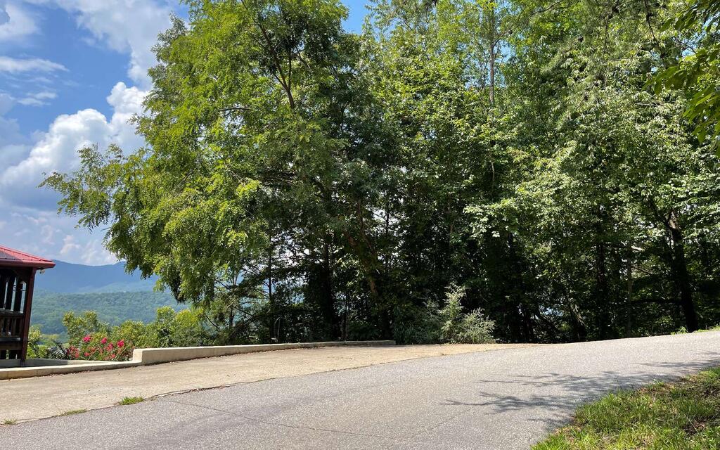 #7 Mountain Drive N
