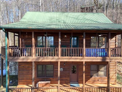 310 Barefoot Hills Road Hiawassee GA 30546
