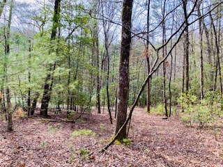 6.88 ac Fisher Field Road