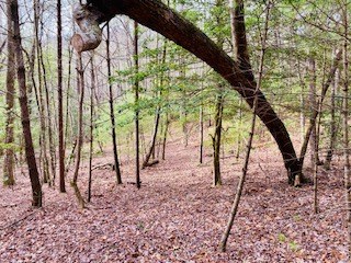 6.88 ac Fisher Field Road