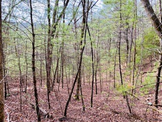 6.88 ac Fisher Field Road