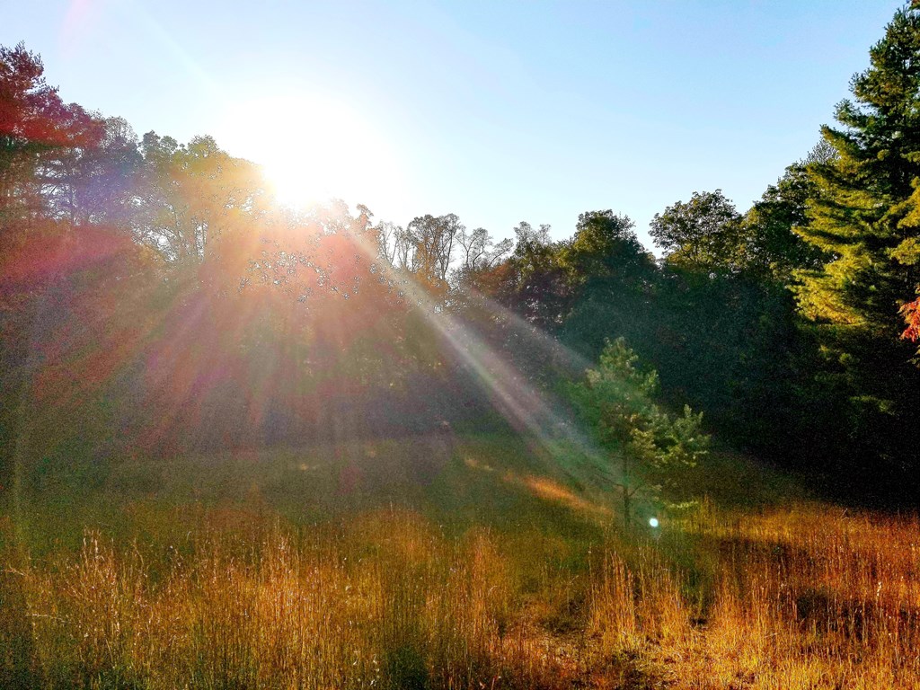 Lot 5 Creek Hollow Lane