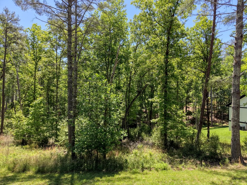 Lot 167 Highland Park