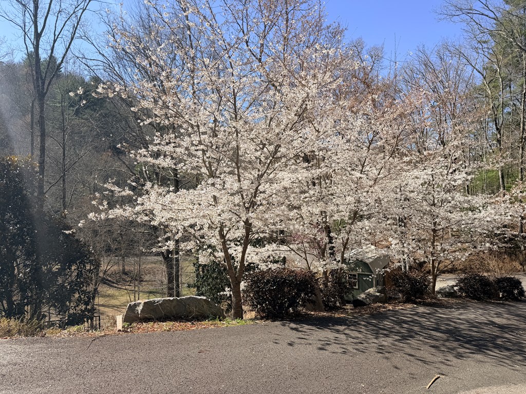 Hiawassee, Georgia, 30546, United States, 3 Bedrooms Bedrooms, ,5 BathroomsBathrooms,Residential,Active,2027313